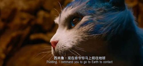 电影喵星完整版免费