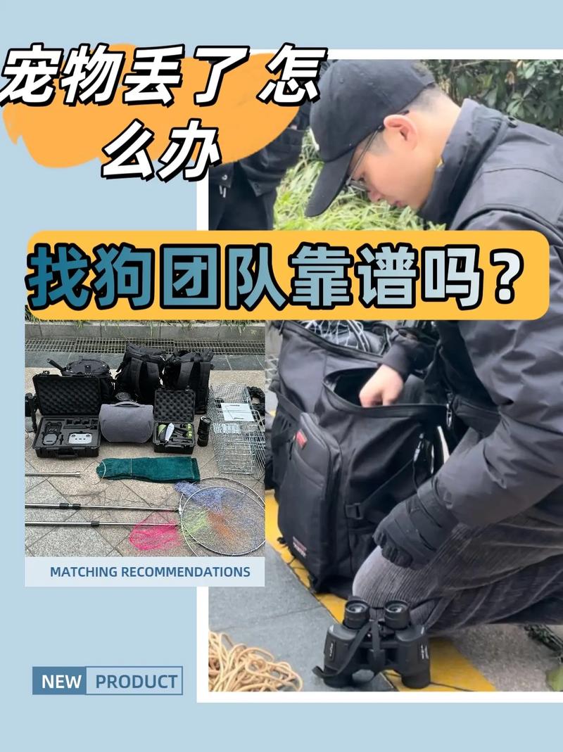 狗狗跑丢了怎么找回