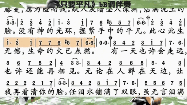 歌曲伴奏曲库大全