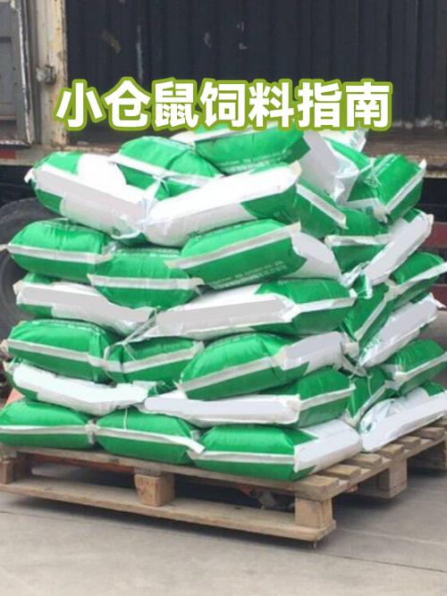 小仓鼠一天喂食几次合适
