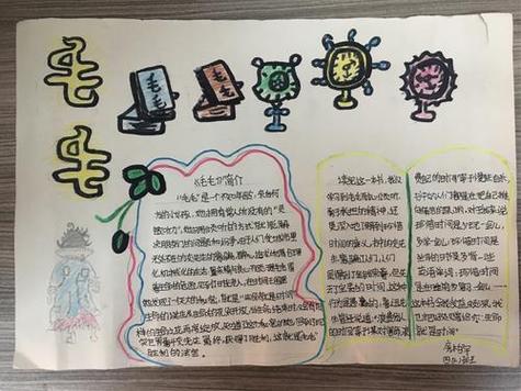 毛毛的主要内容