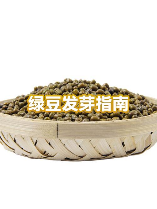 放了几年的绿豆能发豆芽吗