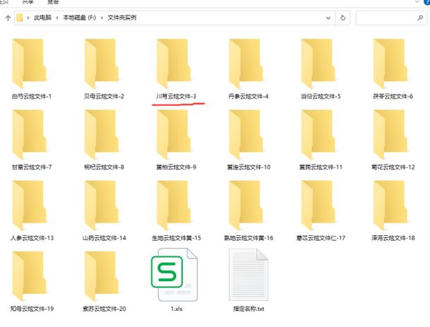 文件夹名称