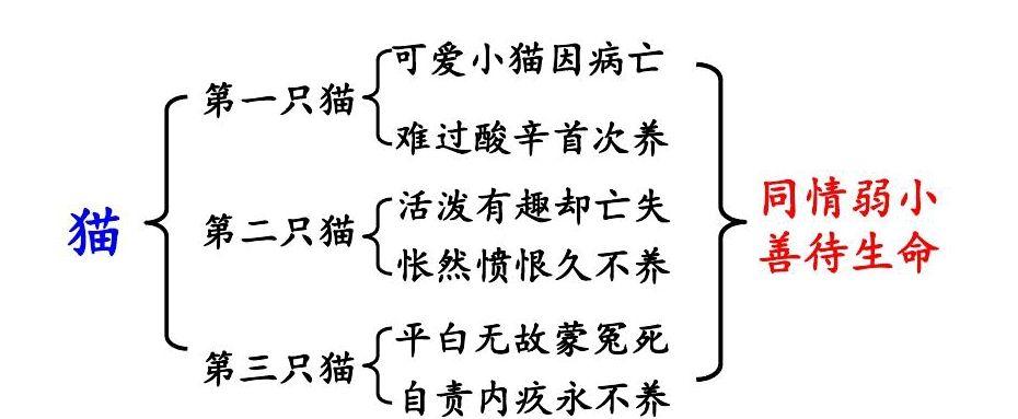 《猫》的课堂笔记