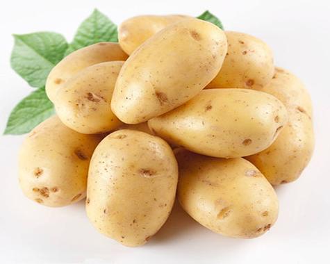 potato旧版本1.0.0.6