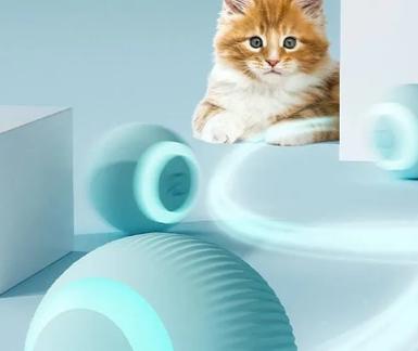 手机上逗猫的游戏是什么