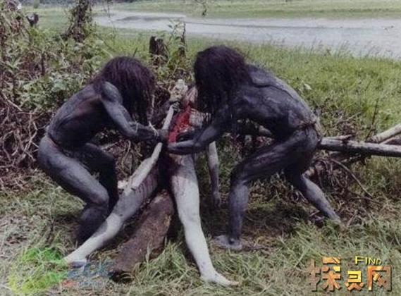 911食人族2