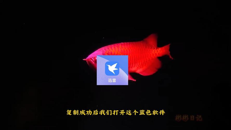 电视如何设置屏保