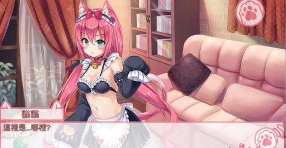 猫咪女仆nekohiroimasita