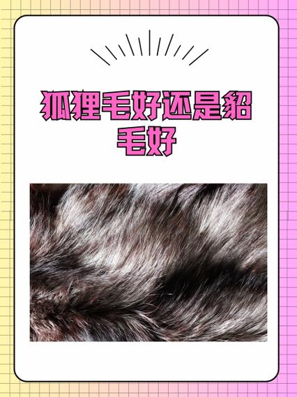 貂毛长还是短好