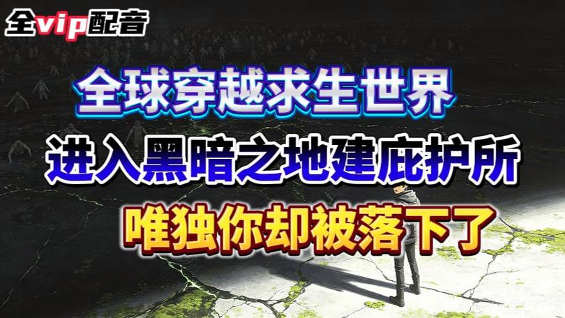 在国外怎么用国内的网络