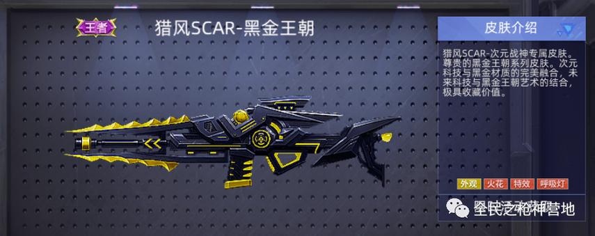 全民枪神边境王者武器大全
