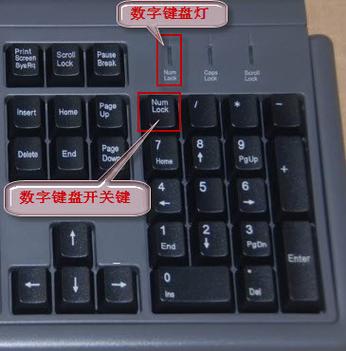 电脑键盘打字母出现数字是