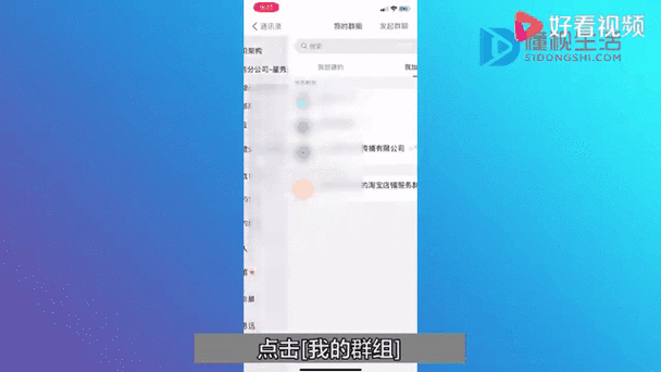 钉钉视频能下载吗
