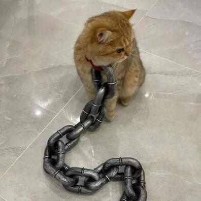 戴镣铐