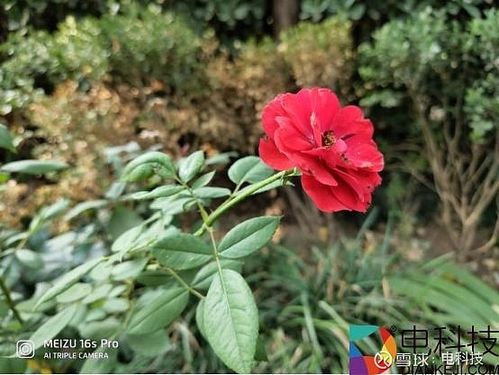 魅族16spro如何锁定桌面布局