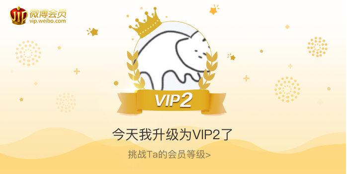 vip2是什么意思