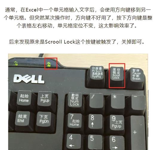 电子表格键盘方向键不能移动