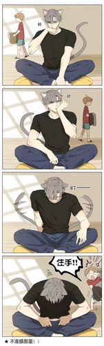 黑猫和仓鼠漫画吉川流