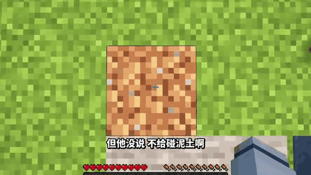 我的世界泥土商店2.9小哀怎么了