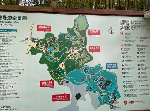 熊猫基地旅游攻略路线