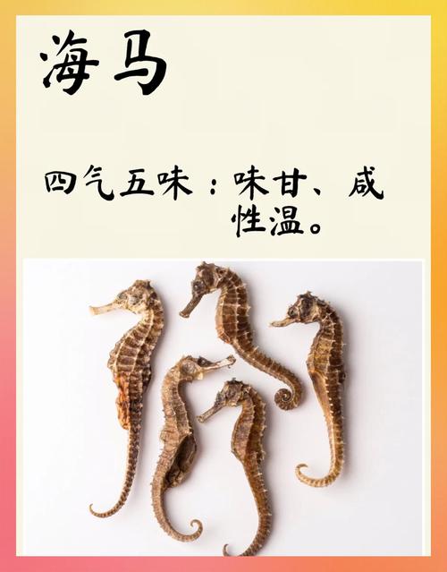海马m3诊断插头在哪个位置