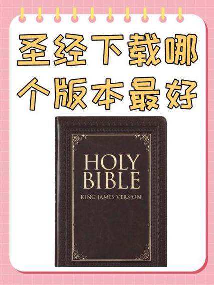伴读圣经下载 免费