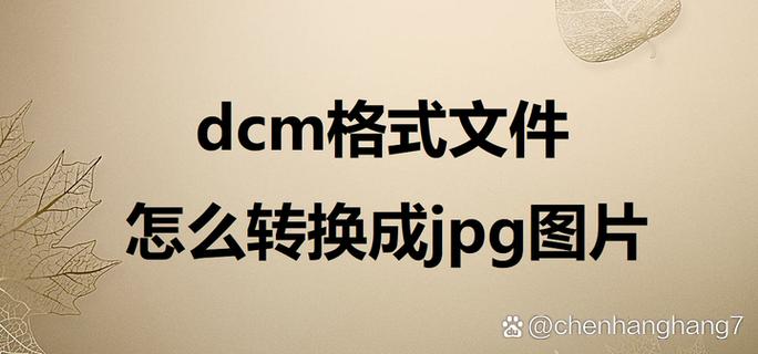 dcm是什么格式