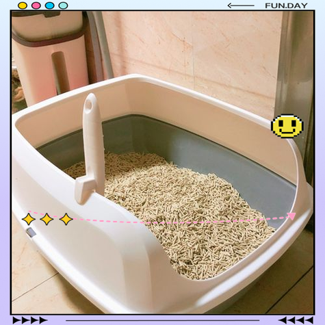 猫咪换新猫砂盆的方法