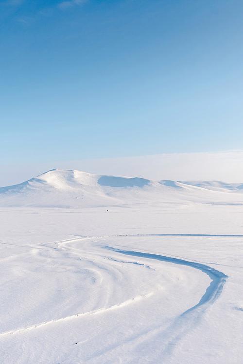 雪原