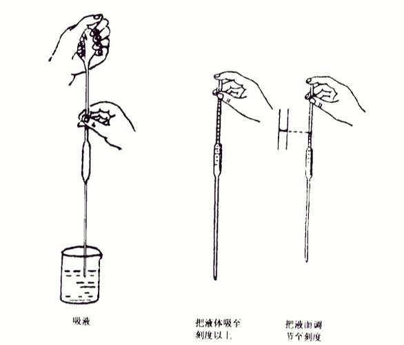 移管是什么意思