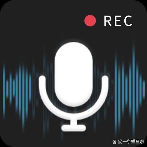 小米miui14录音机apk