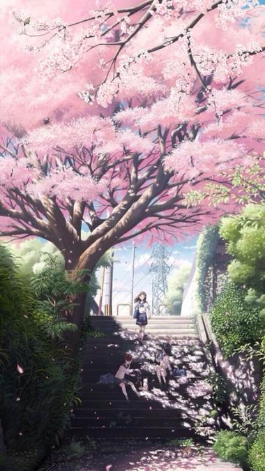 eva新剧场版终樱花动漫