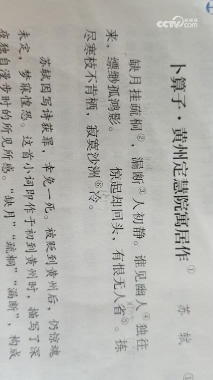 董卿朗诵《卜算子》