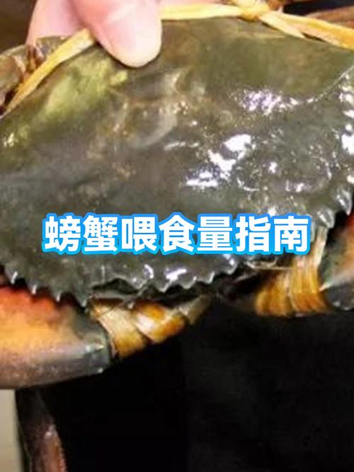 经期时可以吃螃蟹吗
