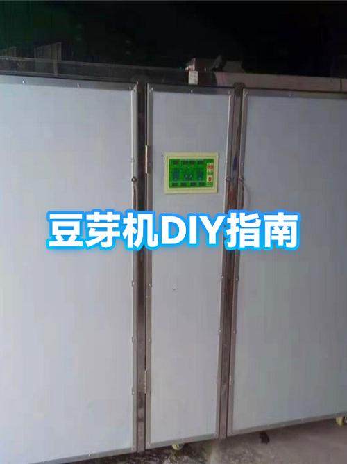 制作豆芽的过程视频