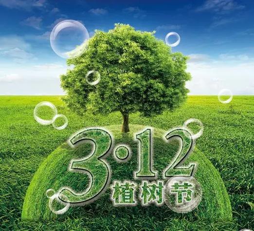 植林种树的好处