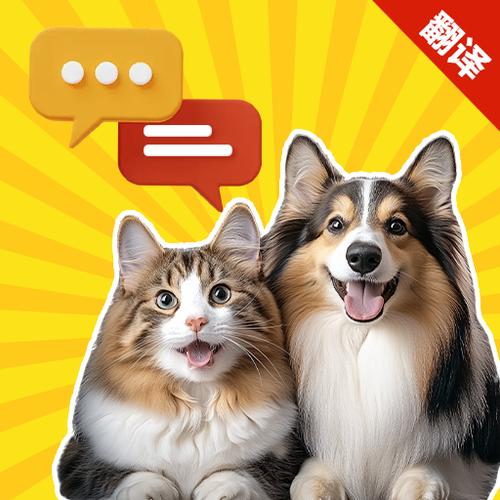 华为mate20pro翻译功能