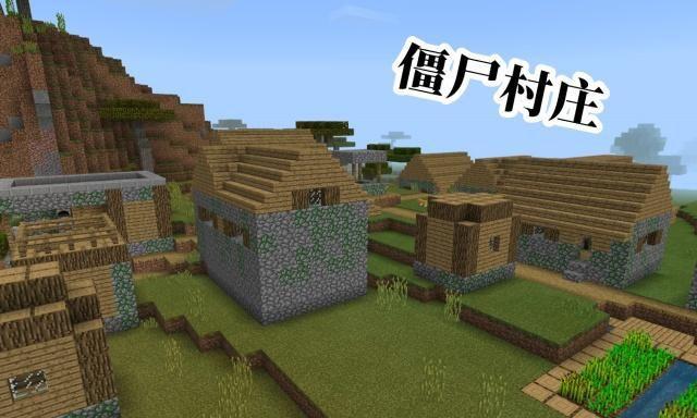 僵尸村民可以变回村民吗