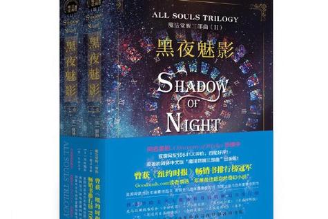 黑夜魅影