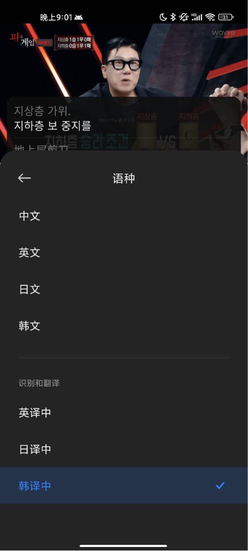 ai字幕翻译