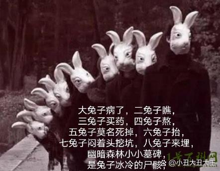 四兔子能过哪些秘闻9