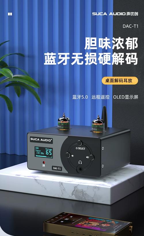 胆前级能接独立解码吗