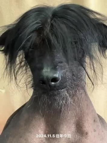 美图秀秀闭眼特效在哪