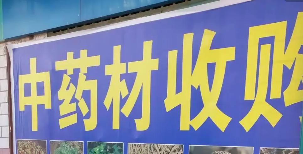中草药收购厂家联系方式