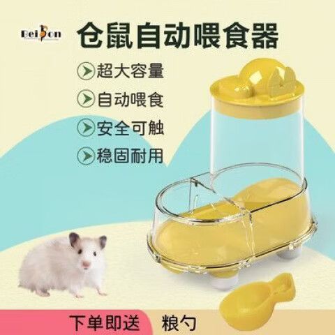 仓鼠1天需要喂食几次
