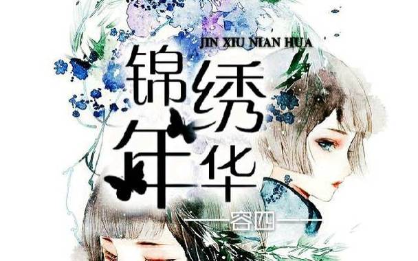 锦绣年华 电视剧 2017