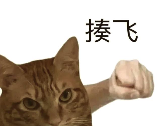 跳舞发圈幽默句子