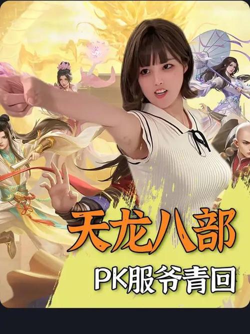 天龙八部手游PK服