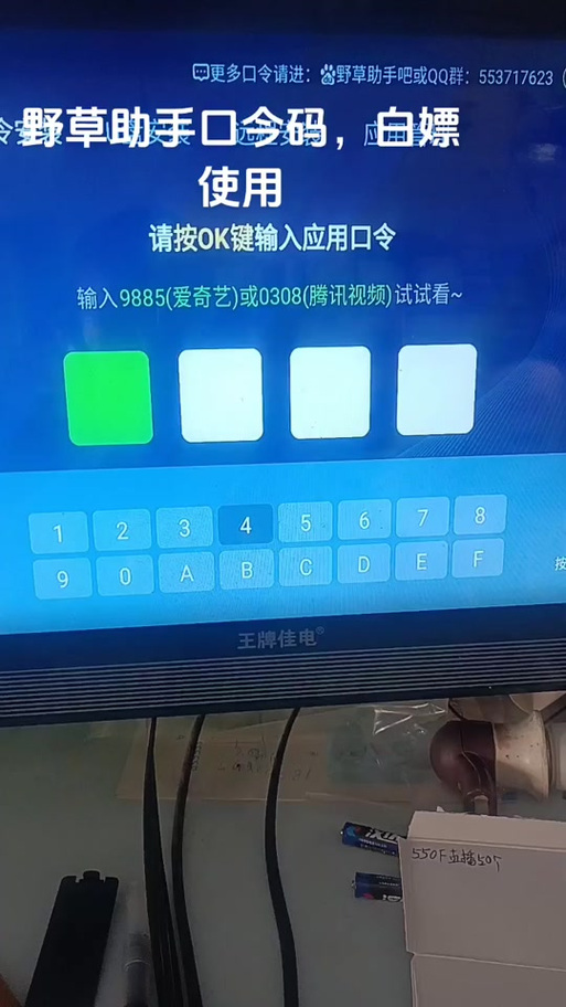 野草助手口令电视家